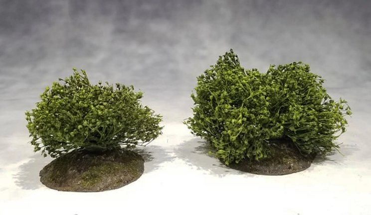 Two Summer Bushes