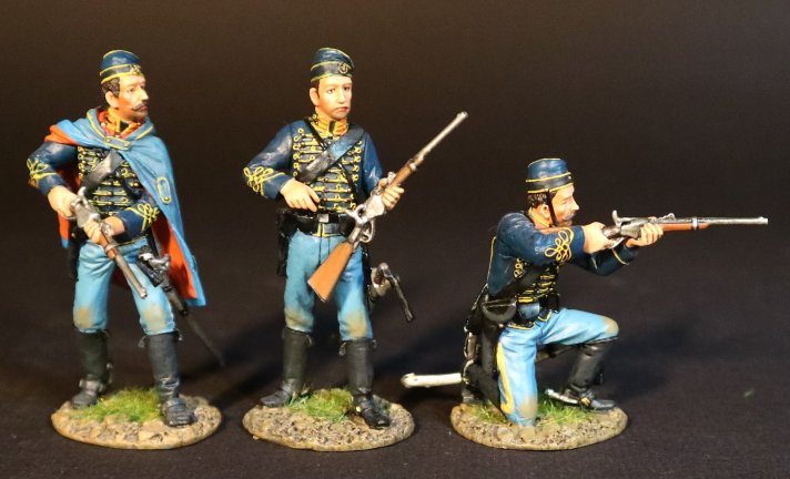 Dismounted Troopers, 3rd New Jersey Cavalry Regt., "The Butterflies"