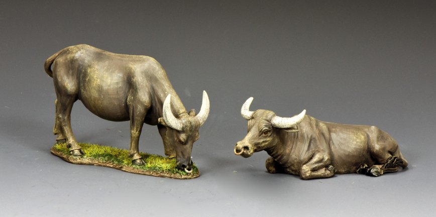 A Pair of Water Buffaloes