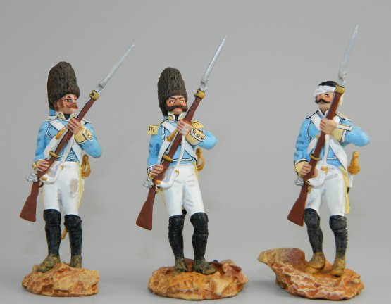 Regiment Ultona, Spanish Army 1809