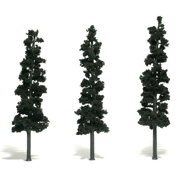 Conifer Trees