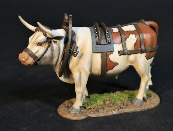Ox