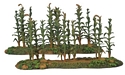 17614 18th-20th Century Corn Rows