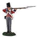 British 1st Foot Guard Battalion Company Standing Firing