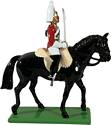 Mounted Life Guard