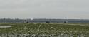 "Armored Spearhead" WWII Sherman Tanks Advancing Across Winter Field