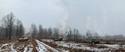 "Stopped in Their Tracks" German Armored Assault Unit Burning at the Edge of Forest Scenic Backdrop