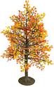 11" Maple Tree, Autumn