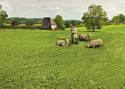 Spring Lawn Mat - 32" x 12"