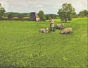 Spring Lawn Mat - 32" x 24"