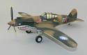 The Flying Tigers P40