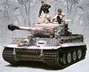 WInter Tiger