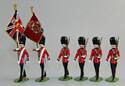 Irish Guards Color Party