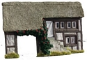 Thatched Farm Facade