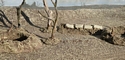 Mud Mat with Diagonal Vehicle Tracks