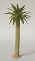 Large Date Palm