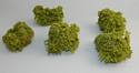 Small Leaf Bushes