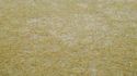 9" x 12" Medium Green Grass Base