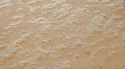 12" x 12" Dry Grass Base