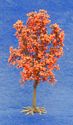 Maple Tree - Orange
