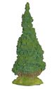 Lawson Cypress