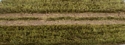 Grass Mat with Dirt Tracks