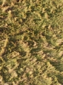 Rough Pasture Mat