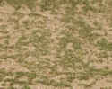 Sand and Short Grass Mat