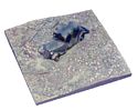 Base with Burnt Out Car Diorama