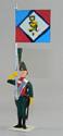 Napoleonic Wars Flagbearer
