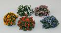 Bag of Mixed Flowering Bushes