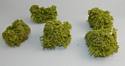 Small Leaf Bushes