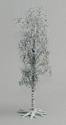 Winter Birch