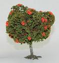 Mountain Ash with berries