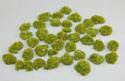 Clumps of Short Green Grass