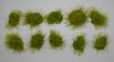 Clumps of Medium Green Grass