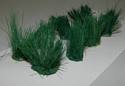 Clumps of Long Green Grass