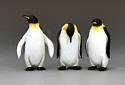 The Original Falkland Islanders - Penguins