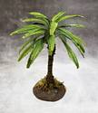 Small Jungle Palm
