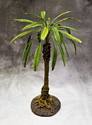 Medium Jungle Palm