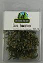 Caspia Fronds - Summer Green