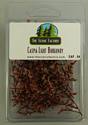 Caspia Flowers - Light Burgundy