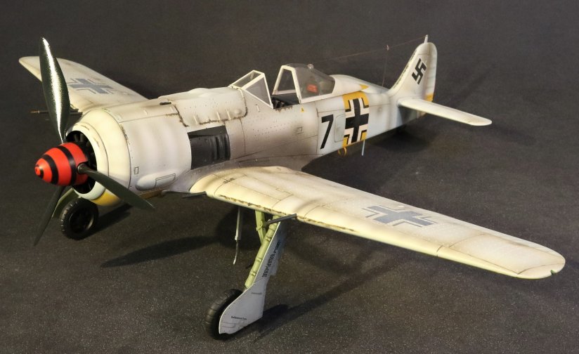 ace-207_3_.jpg
