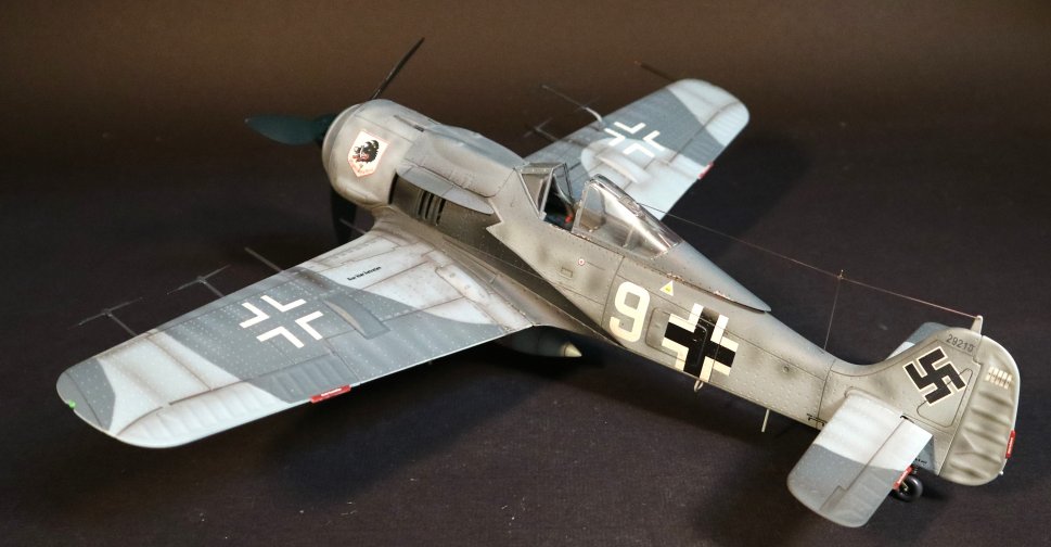 ace-211_2_.jpg