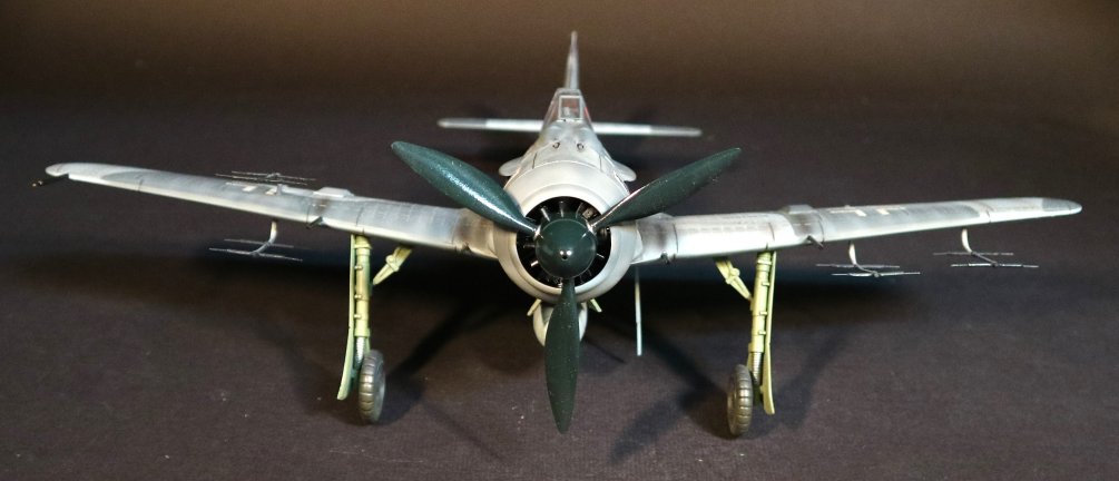 ace-211_3_.jpg