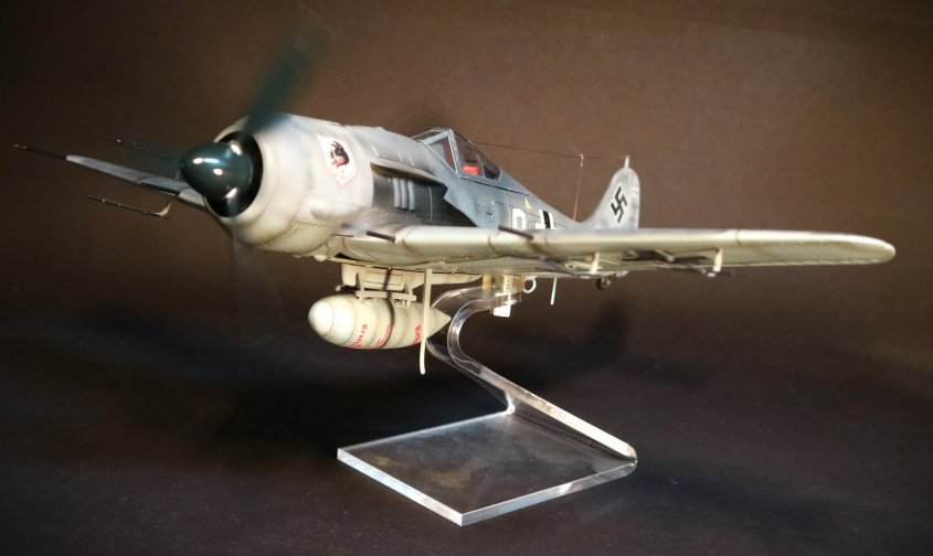 ace-211_4_.jpg