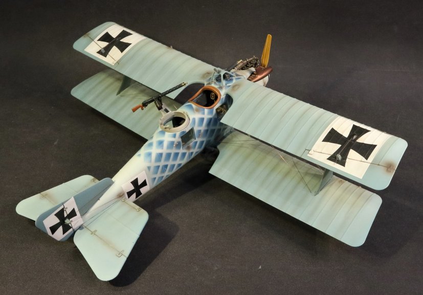 ace-51_1_.jpg