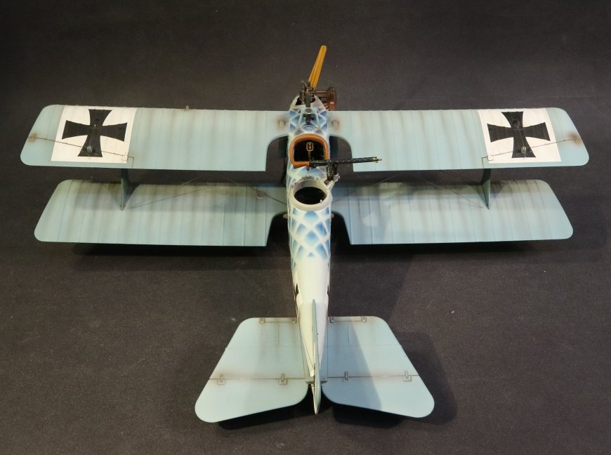 ace-51_2_.jpg